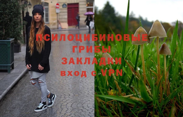 соль ск Инта
