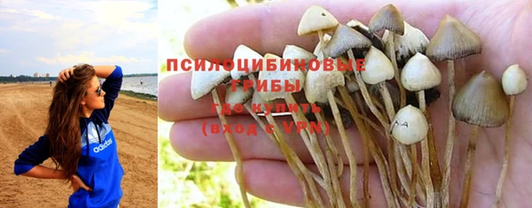 марки nbome Иннополис