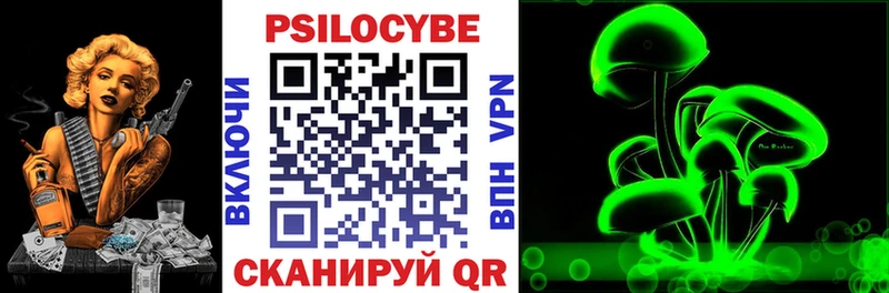 Галлюциногенные грибы Psilocybe Назрань